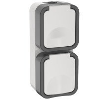 IEK TORS Розетка 2-ая с з/к кр. верт. 16А IP55 TS232 белый