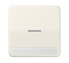 JUNG CD 500/CD plus Бежевая Клавиша 1-ая с/п с полем для надписи