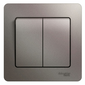 Systeme Electric Glossa Платина Выключатель 2-клавишный сх.5, 10AX (в сборе)