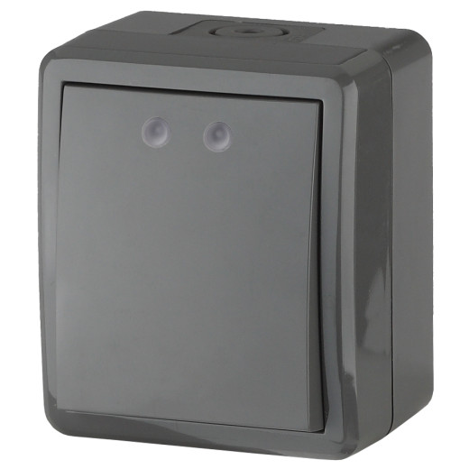 Выключатель ЭРА Эксперт 11-1401-03 IP54 10АХ-250В ОУ серый