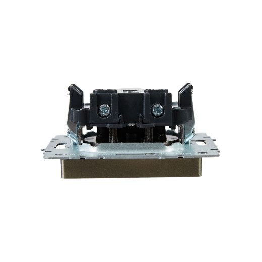 BRITE Роз. без з/к с з/ш 10А РСш10-2-БрШ шамп. IEK