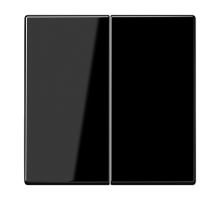 JUNG Центральная плата 2 группы стандарт дюропласт черный