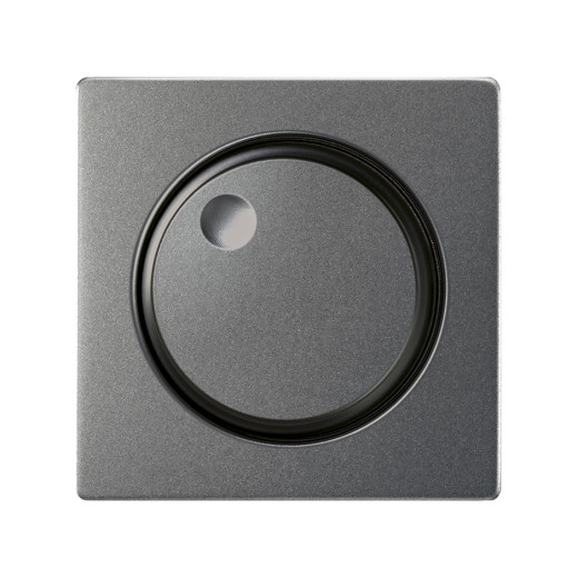 Concept Титан матовый Накладка для светорегулятора