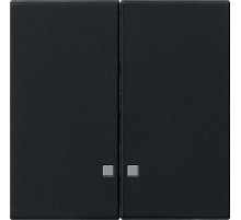 Gira Накладка двухклавишная с контрольными окнами