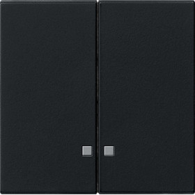 Gira Накладка двухклавишная с контрольными окнами