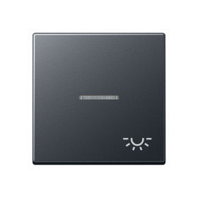JUNG клавиша с символом освещения с подсветкой, матовый антрацит