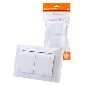 TDM Розетка двойная 2П+З с защ. шт. и крышкой 16А 250В IP44 белая 