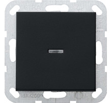 Gira Выключатель с клавишей 2-полюсный