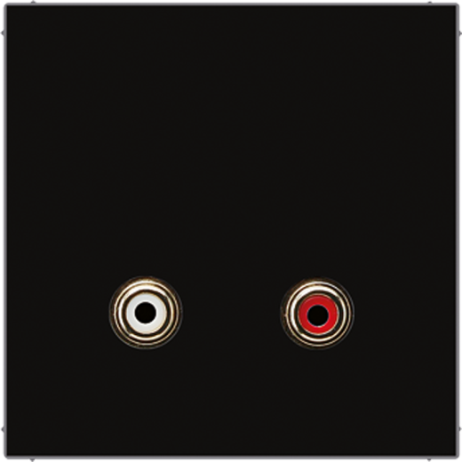 2x Cinch Audio (RCA)