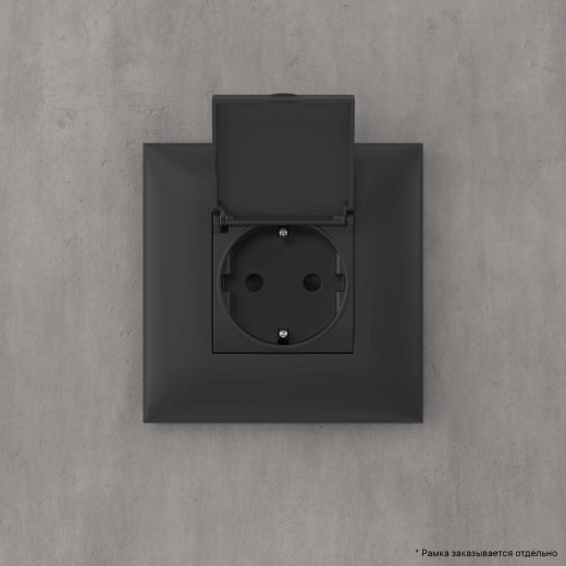 Розетка с крышкой в стену, 2P+E, с з/ш, Avanti, черный матовый