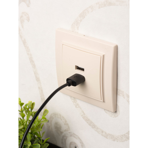 Минск Розетка USB 2-местная СП 2,1А бежевая EKF