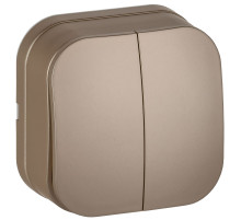 IEK GLORY Выключ. 2-кл. о/у 10А ВС20-2-0-ХШм шамп. м.