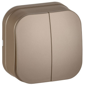 IEK GLORY Выключ. 2-кл. о/у 10А ВС20-2-0-ХШм шамп. м.