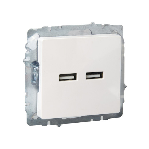 BRITE Роз. USB A+A 3,1А РЮ10-1-БрЖ жемч. IEK