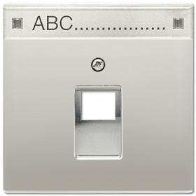 JUNG LS 990 Edelstahl Накладка 1-ой наклонной ТЛФ/комп розетки с полем для надписи