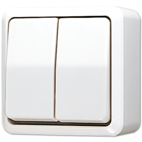 JUNG Белый Выключатель для накладного монтажа сдвоенный