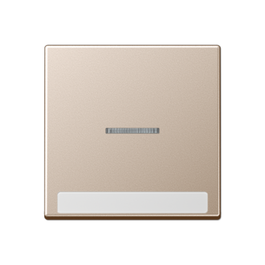 Клавиша с полем для надписи