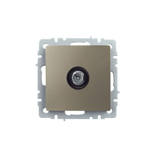 BRITE Роз. TV проходная РТВ10-0-БрШ шамп. IEK