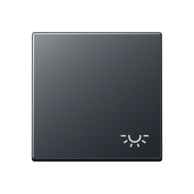 JUNG Матовый Антрацит Клавиша; с символом освещение; термопласт