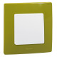 Рамка 1 пост - Legrand Etika - зелёный папоротник