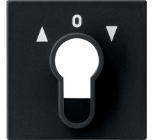 Gira Накладка выключателя с ключом
