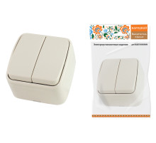 TDM Выключатель 2-кл. открытой установки IP20 10А, сл. кость 