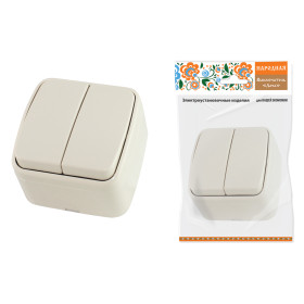 TDM Выключатель 2-кл. открытой установки IP20 10А, сл. кость 