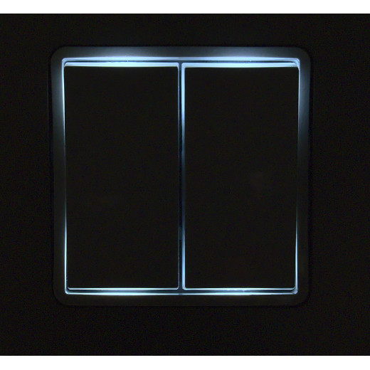 Переключатель двухклавишный с подсветкой - Legrand Inspiria - 10A 250В безвинтовые зажимы - алюминий