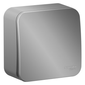 Systeme Electric Blanca наруж Алюминий Выключатель 1-клавишный с самовозвратом, 10А, 250В, изолир. пластина