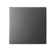 Simon S82 Concept Матовый титан, Клавиша для выключателя