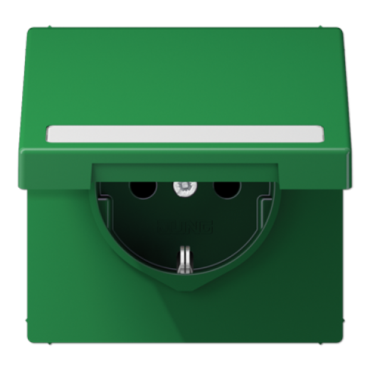 SCHUKO розетка с полем для надписи и крышкой