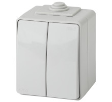 ЭРА Переключатель Эксперт 11-1606-03 двойной IP65 10АХ-250В ОУ серый