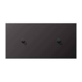 JUNG LS1912 Dark Центральная плата, 2 поста, для горизонтальной установки, тумблеры 1+1,конус; метал. исполнение