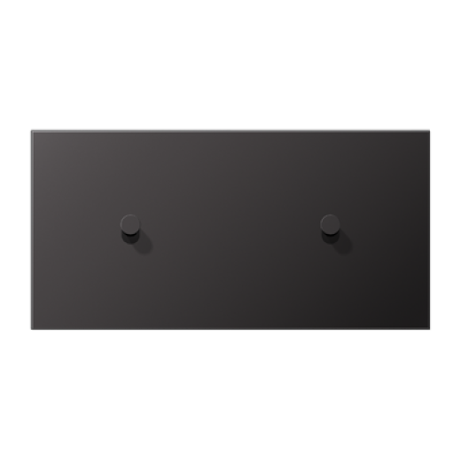 Центральная плата для выключателей, 2 поста (единая плата), для горизонтальной установки, тумблеры 1+1, конус, металл, dark, LS1912