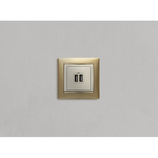 Зарядное устройство USB тип А / тип А - Legrand Valena - 3000мА 15Вт - слоновая кость