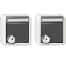 Gira Набор из 2 розеток с запирающейся на ключ крышкой IP44