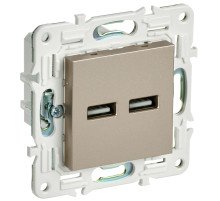 IEK SKANDY Шампань Розетка USB A+A 3,1А SK-R15Sh