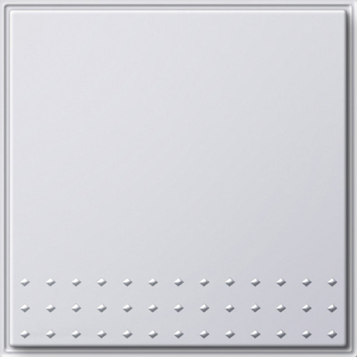 Выключатель одноклавишный с клавишей