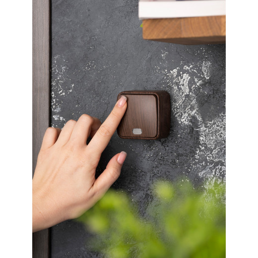 Выключатель 1-клавишный ОП Минск 10А с индикатором тёмное дерево EKF