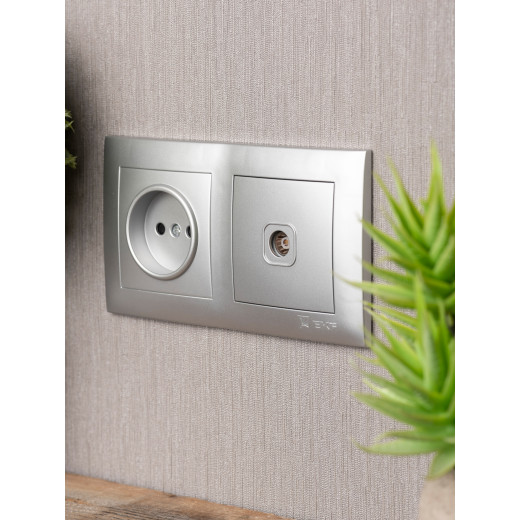 Валенсия Рамка 2-местная сталь EKF