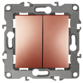 ЭРА 12-1104-14 Выключатель двойной, 10АХ-250В, IP20, Эра12, медь (10/100/2500)