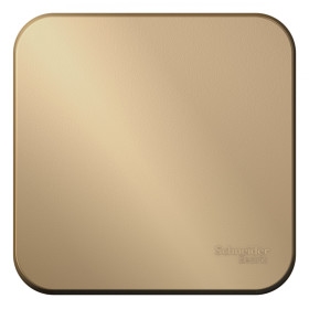 Systeme Electric Blanca наруж Титан Выключатель 1-клавишный, 10А, 250B