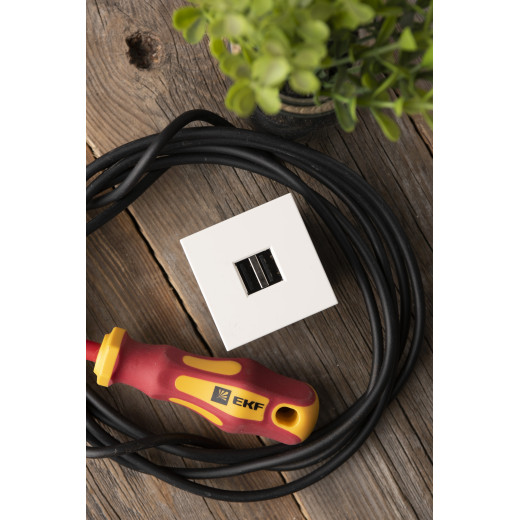 Розетка USB A+A, 2.1А, 2 гнезда, без индикатора EKF