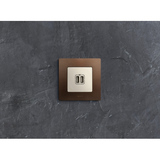 Зарядное устройство USB тип А / тип А - Legrand Etika - 3000мА 15Вт - слоновая кость