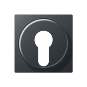 JUNG Накладка для выключателя с замком, матовый антрацит