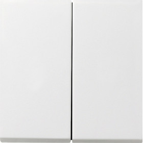 Gira F100 Бел глянц Выключатель 2-клавишный c 4 выходами