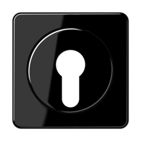 JUNG Крышка для выключателя с замком черная