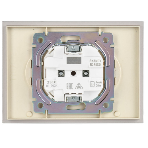 SKANDY Роз. 2-я без з/к/ш стекло 10А SK-R03Sh шамп. IEK