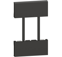 BT Living now Черный Лицевая панель для установки терморегулятора, 2 мод.