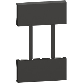 BT Living now Черный Лицевая панель для установки терморегулятора, 2 мод.